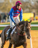 Race 8 - Restricted Race-5