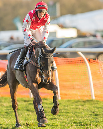 Race 8 - Restricted Race-6
