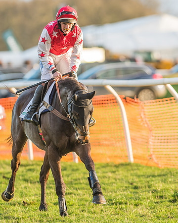 Race 8 - Restricted Race-7