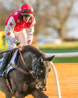 Race 8 - Restricted Race-8
