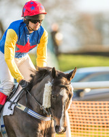 Race 8 - Restricted Race-9