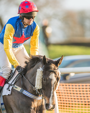 Race 8 - Restricted Race-9