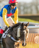Race 8 - Restricted Race-10
