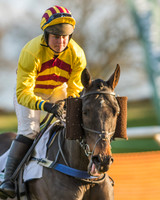 Race 8 - Restricted Race-13