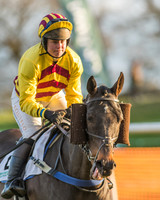 Race 8 - Restricted Race-14