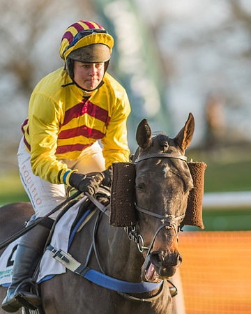 Race 8 - Restricted Race-14