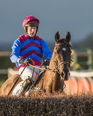 Race 8 - Restricted Race-15