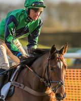 Race 8 - Restricted Race-17