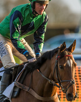 Race 8 - Restricted Race-18