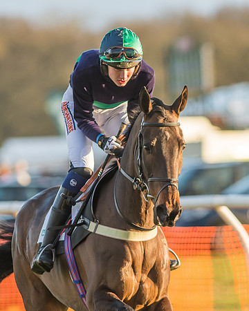 Race 8 - Restricted Race-21