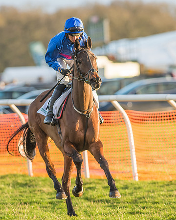 Race 8 - Restricted Race-33