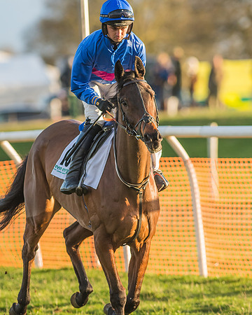 Race 8 - Restricted Race-34