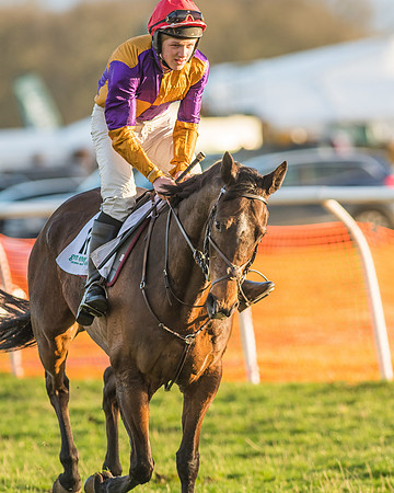 Race 8 - Restricted Race-41