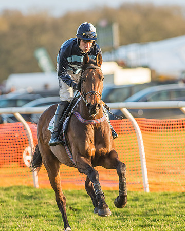 Race 8 - Restricted Race-46