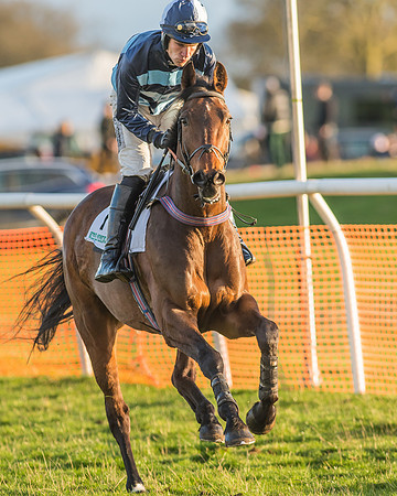 Race 8 - Restricted Race-47
