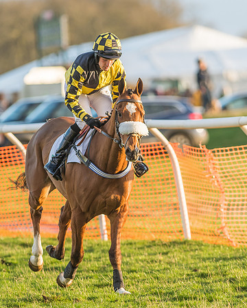 Race 8 - Restricted Race-52