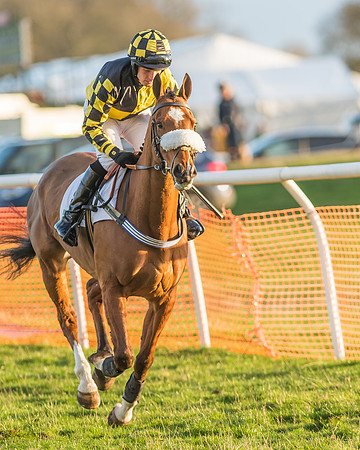 Race 8 - Restricted Race-53