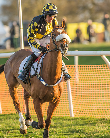 Race 8 - Restricted Race-54