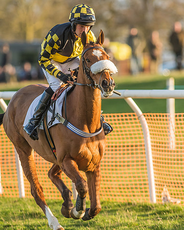 Race 8 - Restricted Race-55