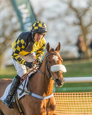 Race 8 - Restricted Race-56