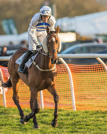 Race 8 - Restricted Race-59