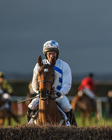 Race 8 - Restricted Race-73