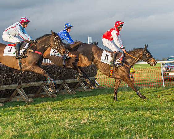Race 8 - Restricted Race-96