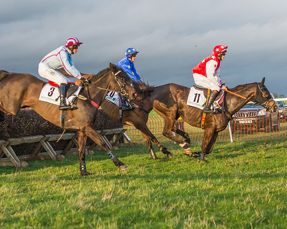 Race 8 - Restricted Race-97