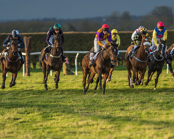 Race 8 - Restricted Race-102