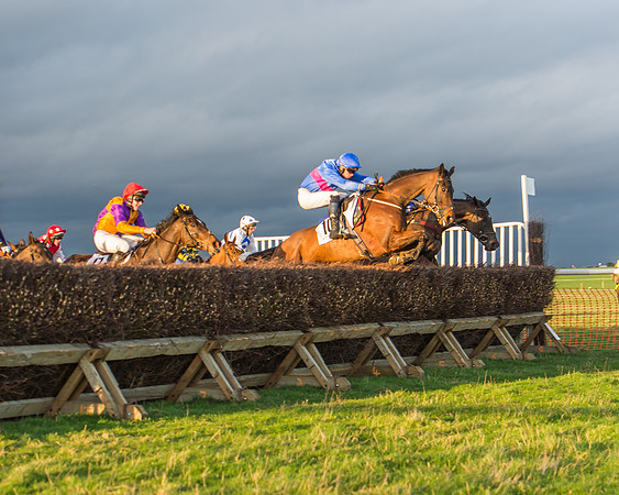 Race 8 - Restricted Race-105