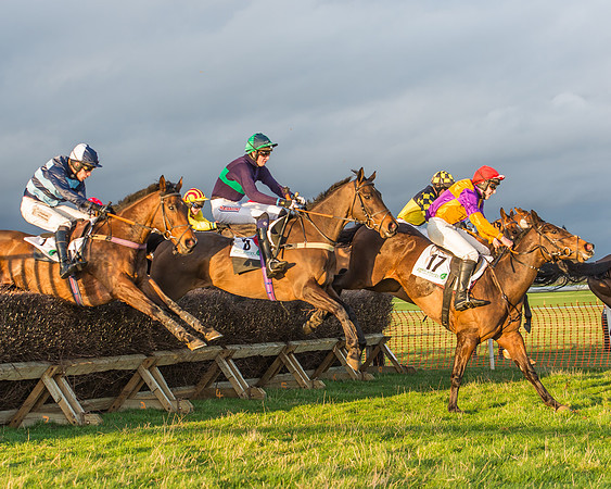 Race 8 - Restricted Race-110