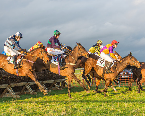 Race 8 - Restricted Race-111