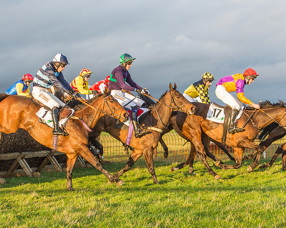 Race 8 - Restricted Race-112