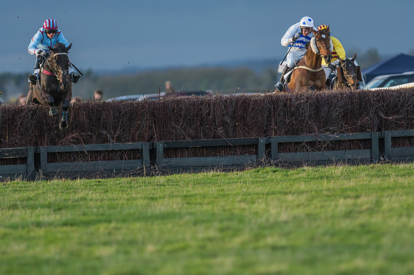 Race 8 - Restricted Race-114
