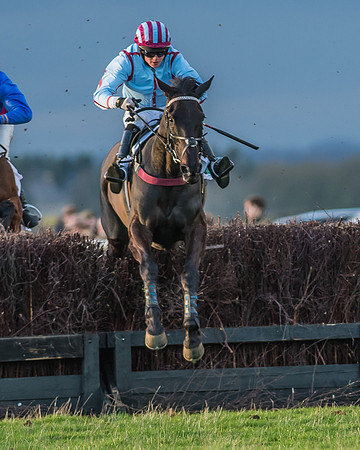 Race 8 - Restricted Race-115-2