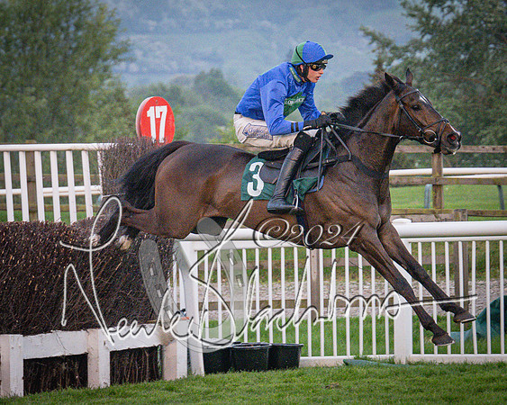 Race - 7 The Royal Gloucester Hussars Open Hunter's steeplechase 2m4f 127y (67 of 210)