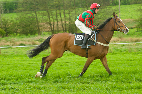 Race 5 - Restriced 27