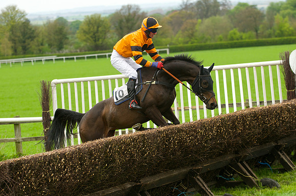 Race 3 - 4-5-6 Maiden 57