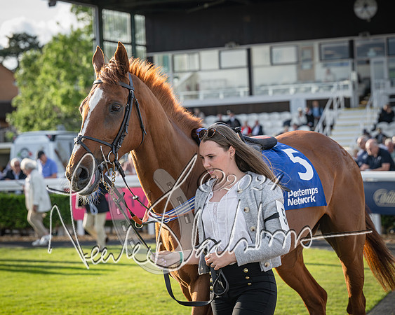 Race 4 - Peretemps Stratford Foxhunters (26 of 168)