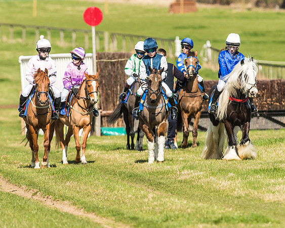 Race 1 - 138cm -14