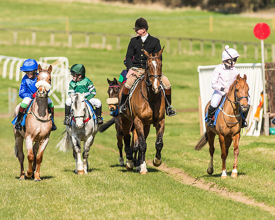 Race 1 - 138cm -15