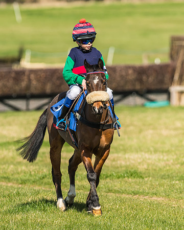 Race 1 - 138cm -21