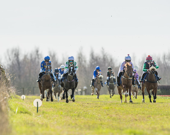 Race 1 - 138cm -38