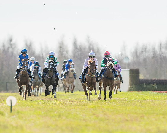 Race 1 - 138cm -35