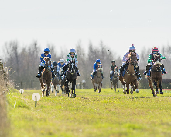 Race 1 - 138cm -40