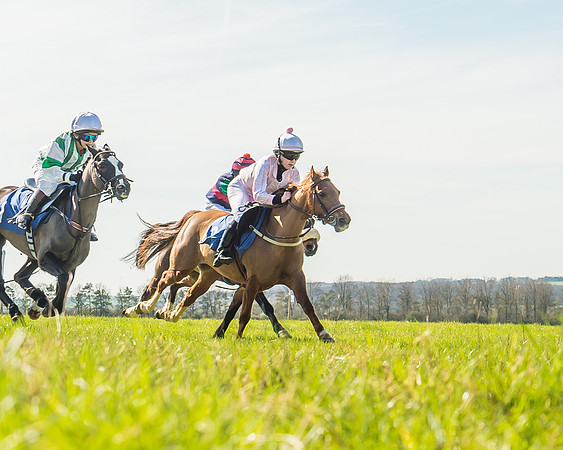 Race 1 - 138cm -41