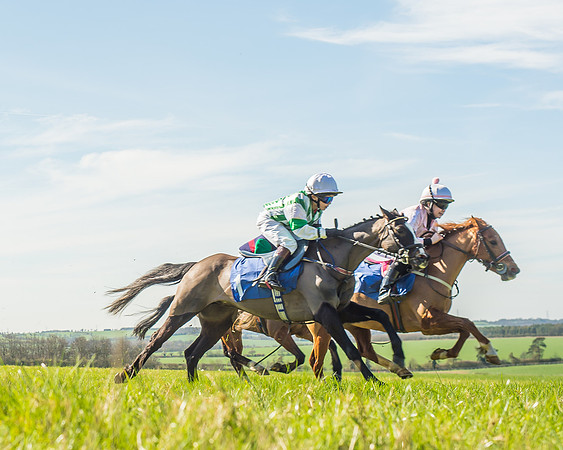 Race 1 - 138cm -42