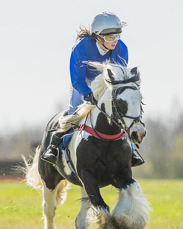 Race 1 - 138cm -80