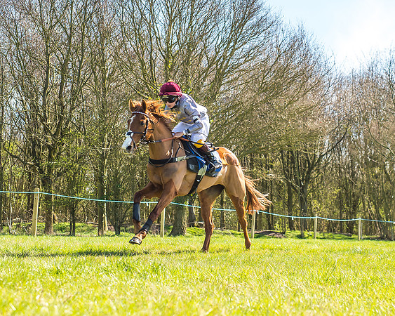 Race 2 - 138cm -12