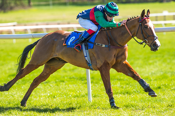 Race 3 - 148cm -10